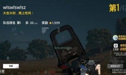 拆包掛光遇最新爆料