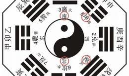 今日爆料娛樂八卦圖最新,揭秘明星背后的驚人真相！