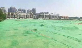 濱州市最新爆料,揭秘城市變遷背后的故事